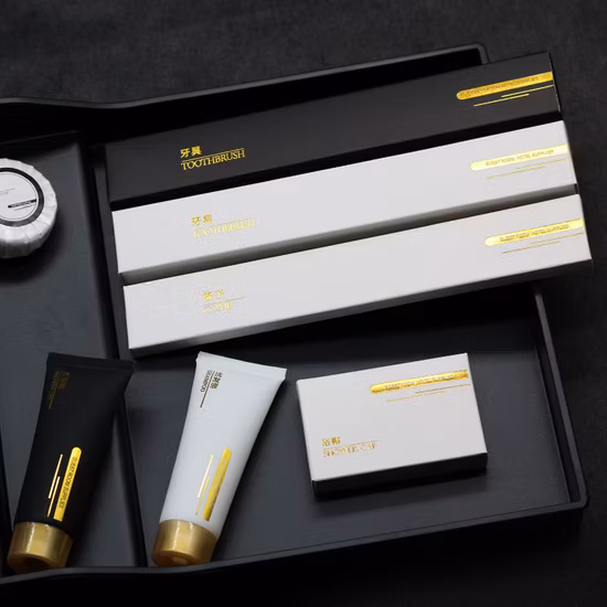 Kit de fournitures de voyage pour hôtel de luxe jetable personnalisé 5 étoiles